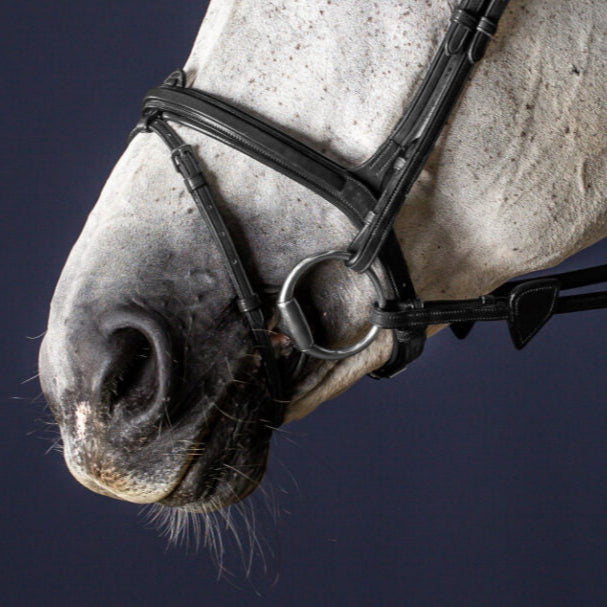 New English Flash Noseband - Black