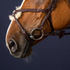 New English Figure 8 Noseband - Brown