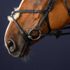 New English Figure 8 Noseband - Black