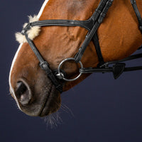 New English Figure 8 Noseband - Black