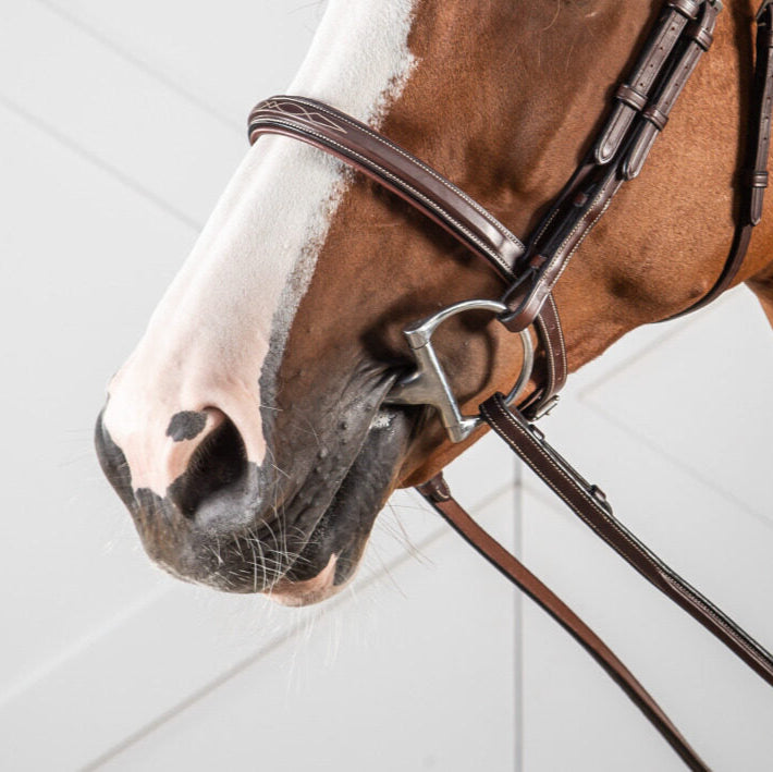 US Jumping Cavesson Noseband - Brown (Pony)