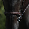 US Jumping Cavesson Hunter Noseband - Brown