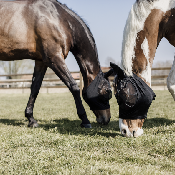 Fly Mask Slim Fit - Black