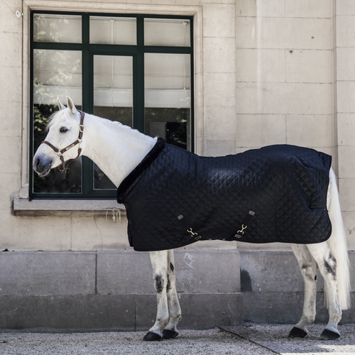 Show Rug 160g - Black/Black Limited Edition