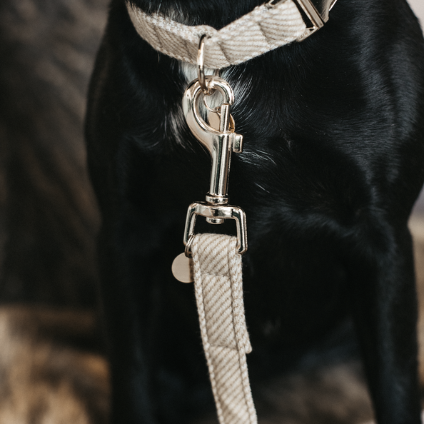 Kentucky - Dog Lead Wool 120cm - Beige