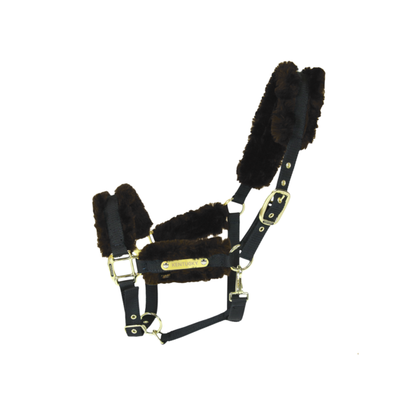 Nylon Sheepskin Halter - Brown