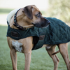 Original Dog Coat - Dark Green