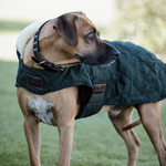 Original Dog Coat - Dark Green