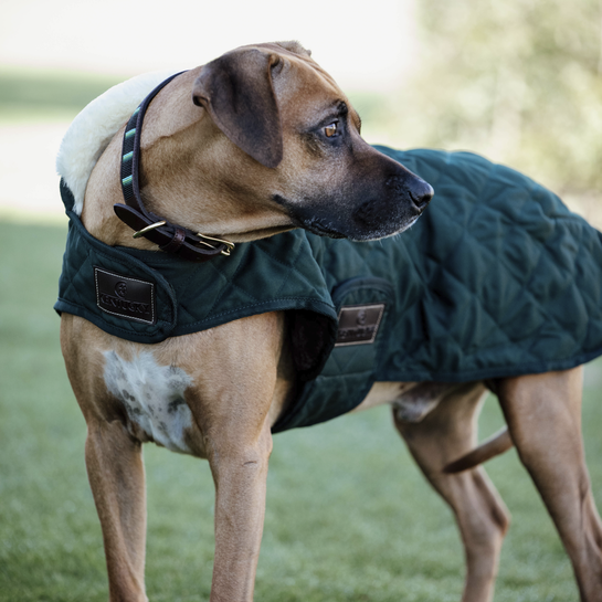 Original Dog Coat - Dark Green