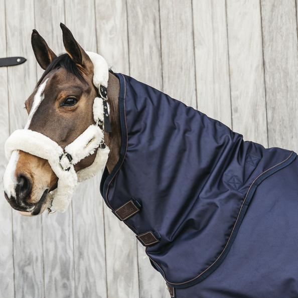 Neck All Weather Waterproof Pro 0g - Navy