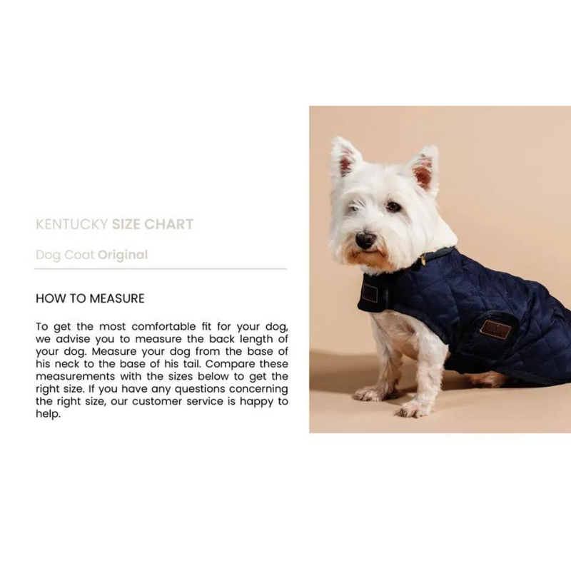 Original Dog Coat - Dark Green