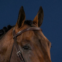 US Jumping Straight Browband - Brown