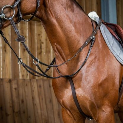 Working Running Martingale - Brown