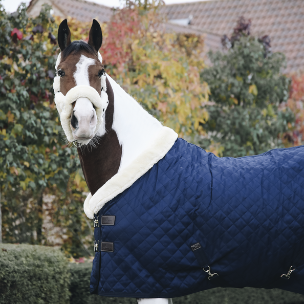 Show Rug 160g - Navy