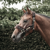 Nylon Sheepskin Halter - Brown
