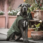 Waterproof Dog Coat - Olive Green