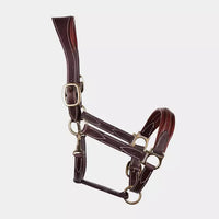 Leather Head Collar