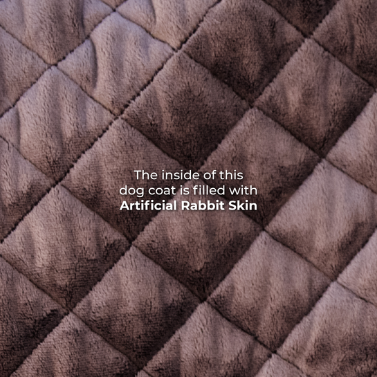 Original Dog Coat - Dark Green