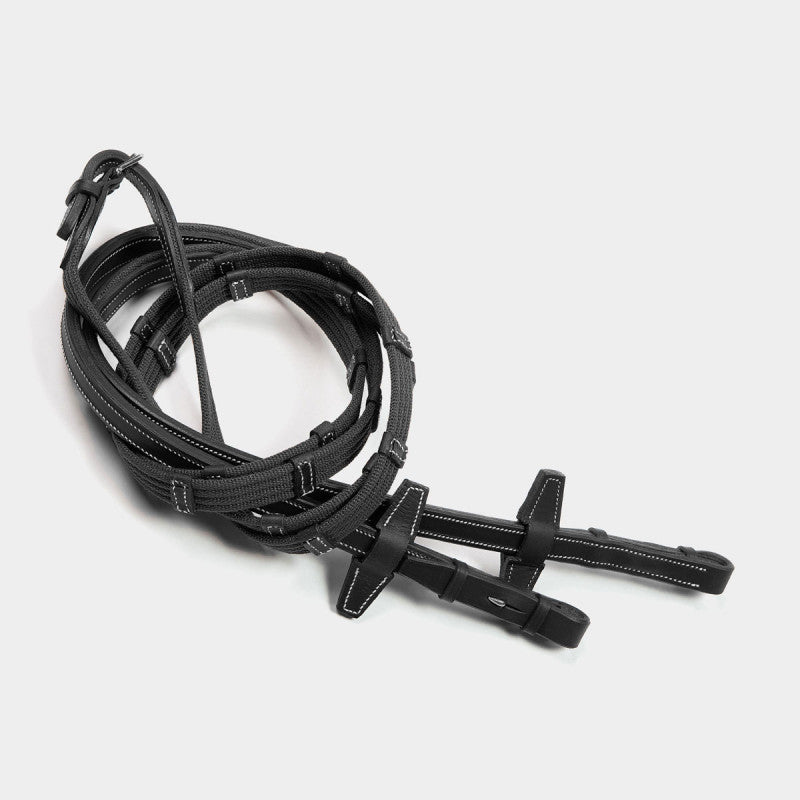 DVX Web Reins