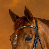 New English White Swarovski V Browband - Black